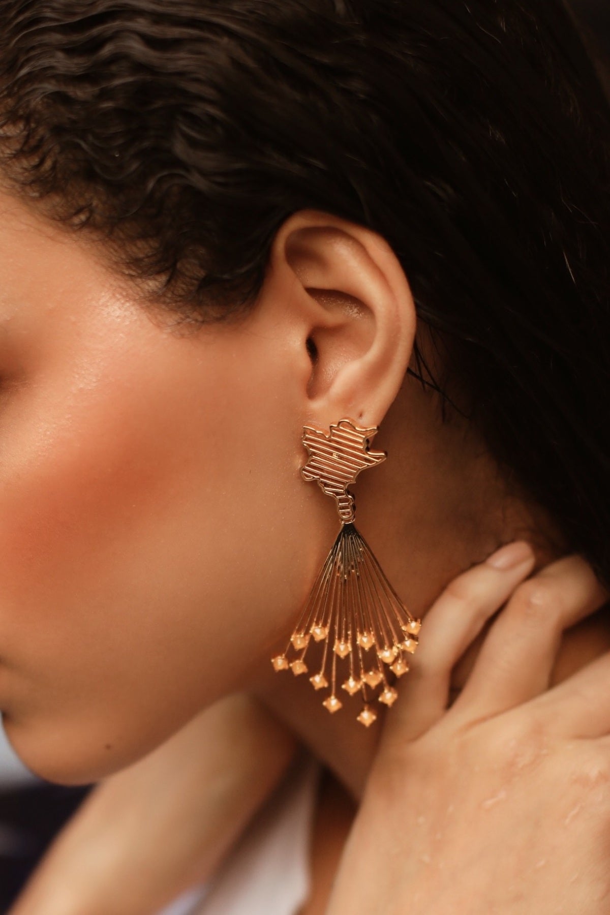 Buy Swarovski Long Danglers For Women Online at ScrollnShops